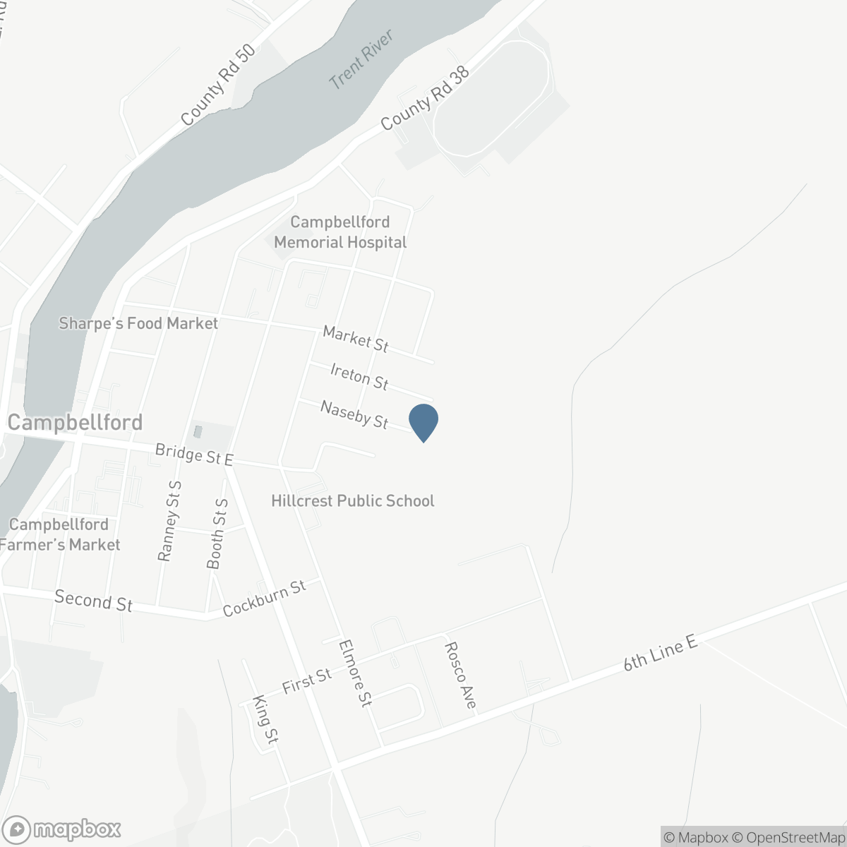 256 NASEBY STREET, Campbellford, Ontario K0L 1L0
